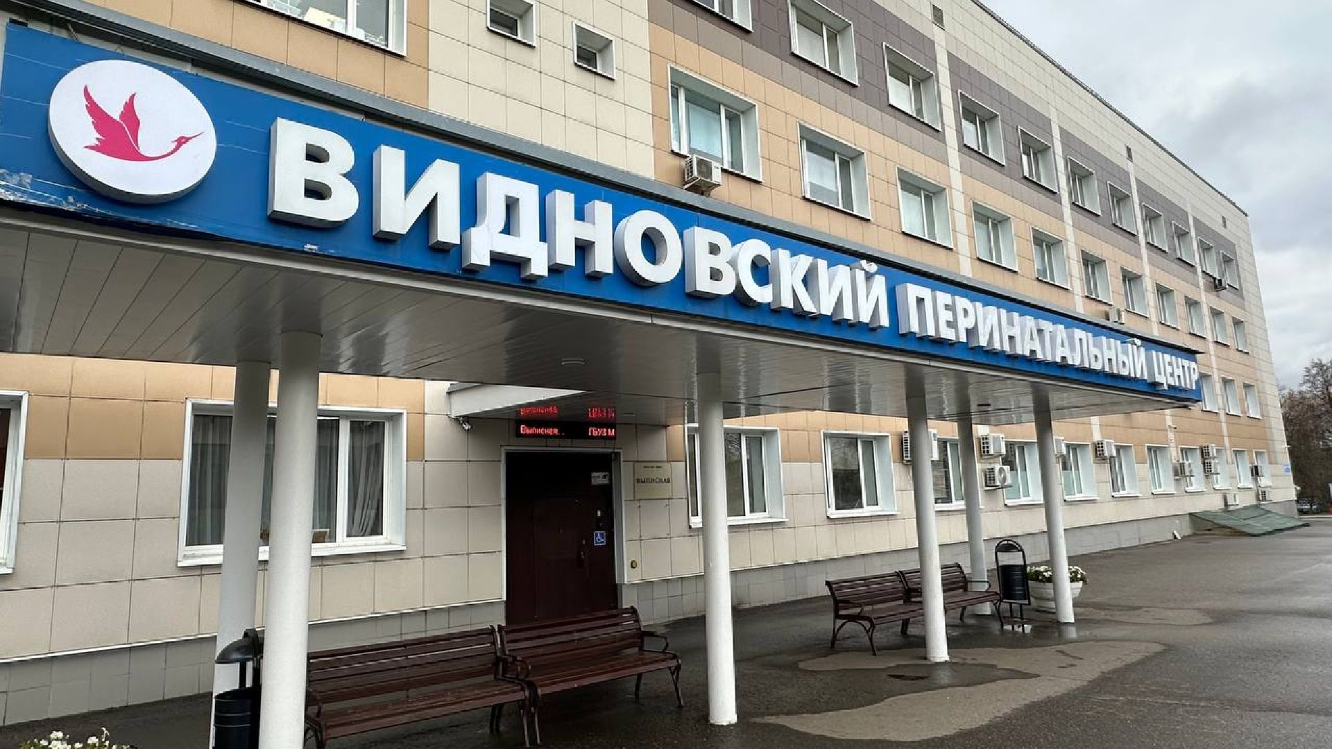 медицина, новорожденные, видное, ивл,