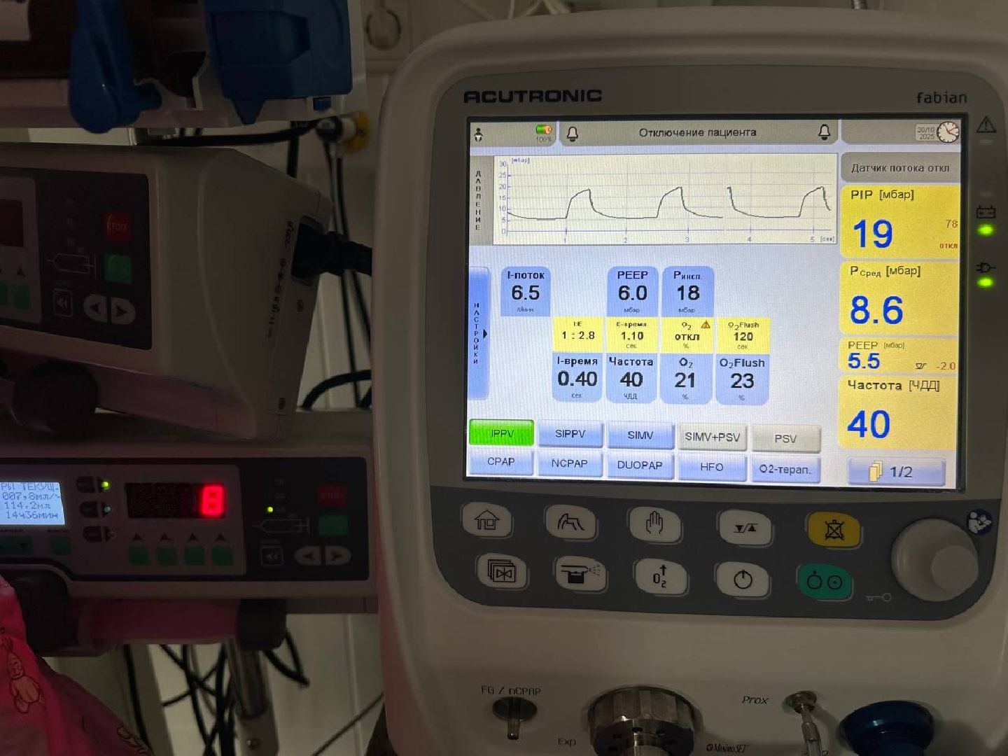 медицина, новорожденные, видное, ивл,