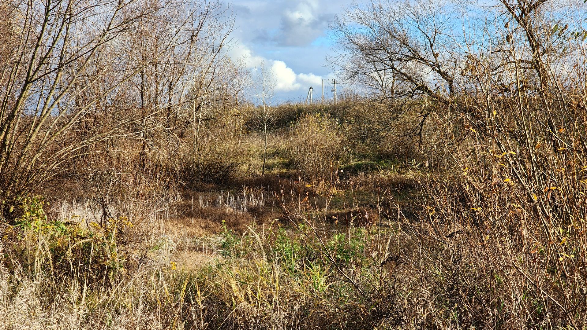 луховицы, Слемские Борки, пожарный пруд, благоустройство,