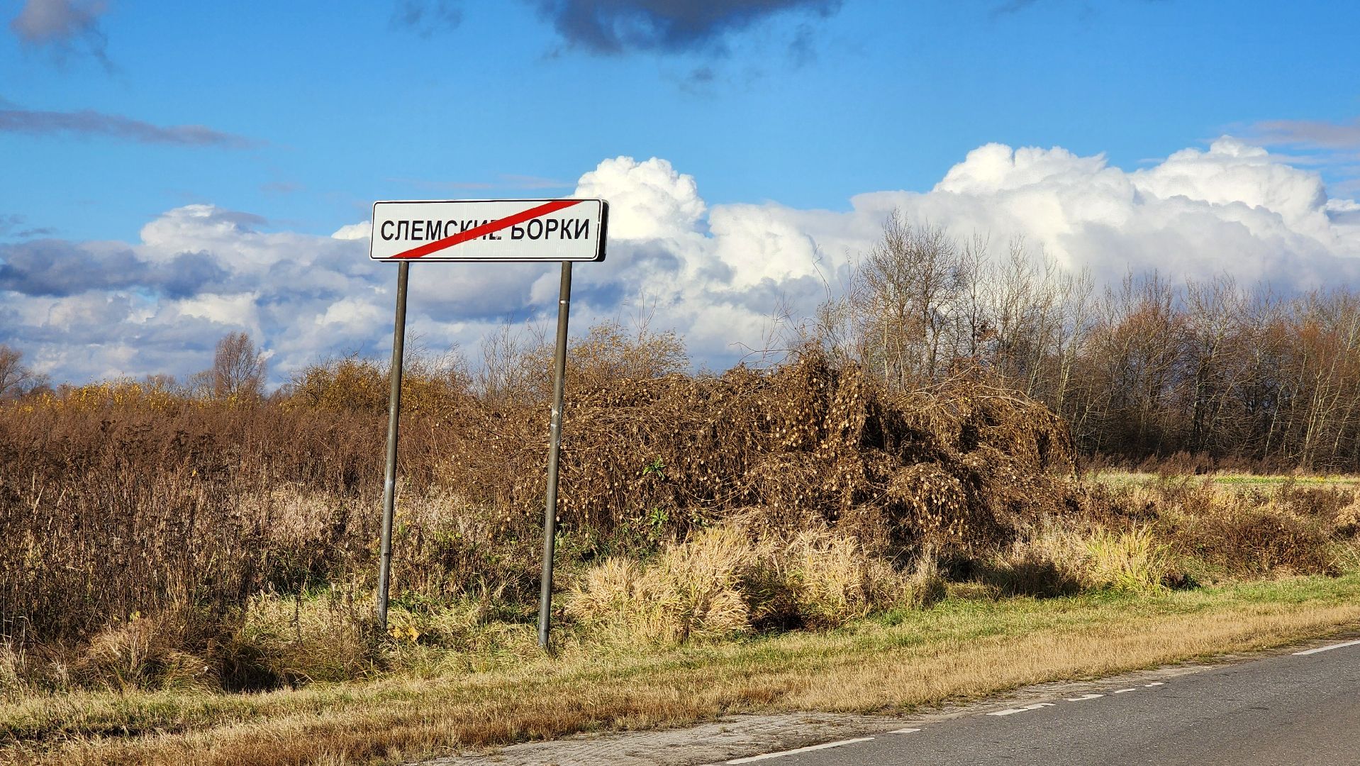 луховицы, Слемские Борки, пожарный пруд, благоустройство,