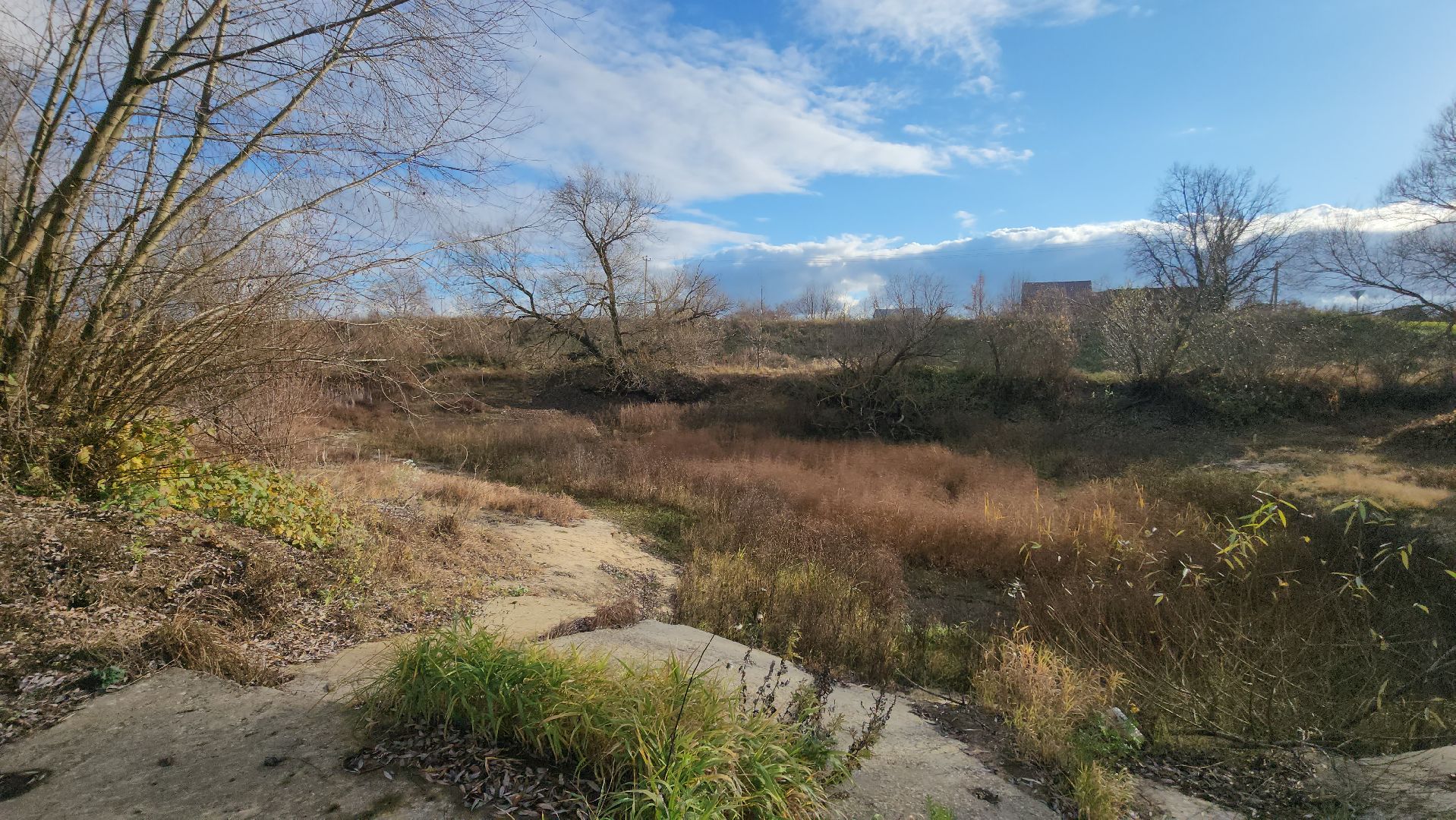 луховицы, Слемские Борки, пожарный пруд, благоустройство,