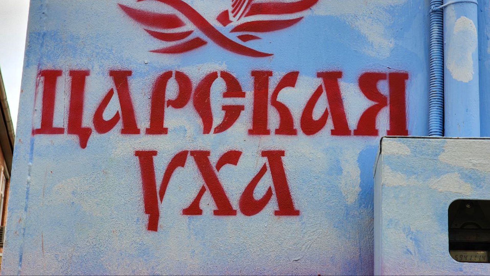 луховицы, артулочкартк, белоомут,