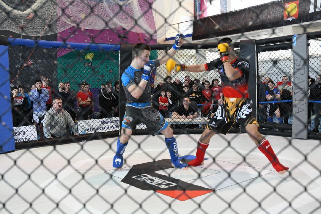 Спорт, Серпухов, ММА, соревнования