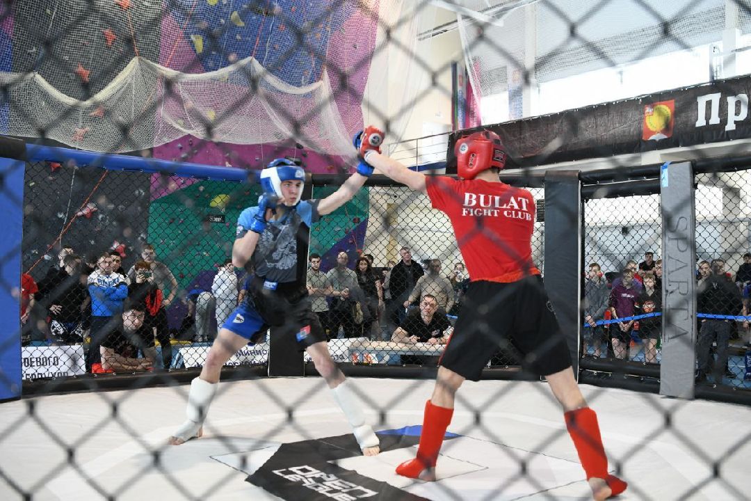 Спорт, Серпухов, ММА, соревнования