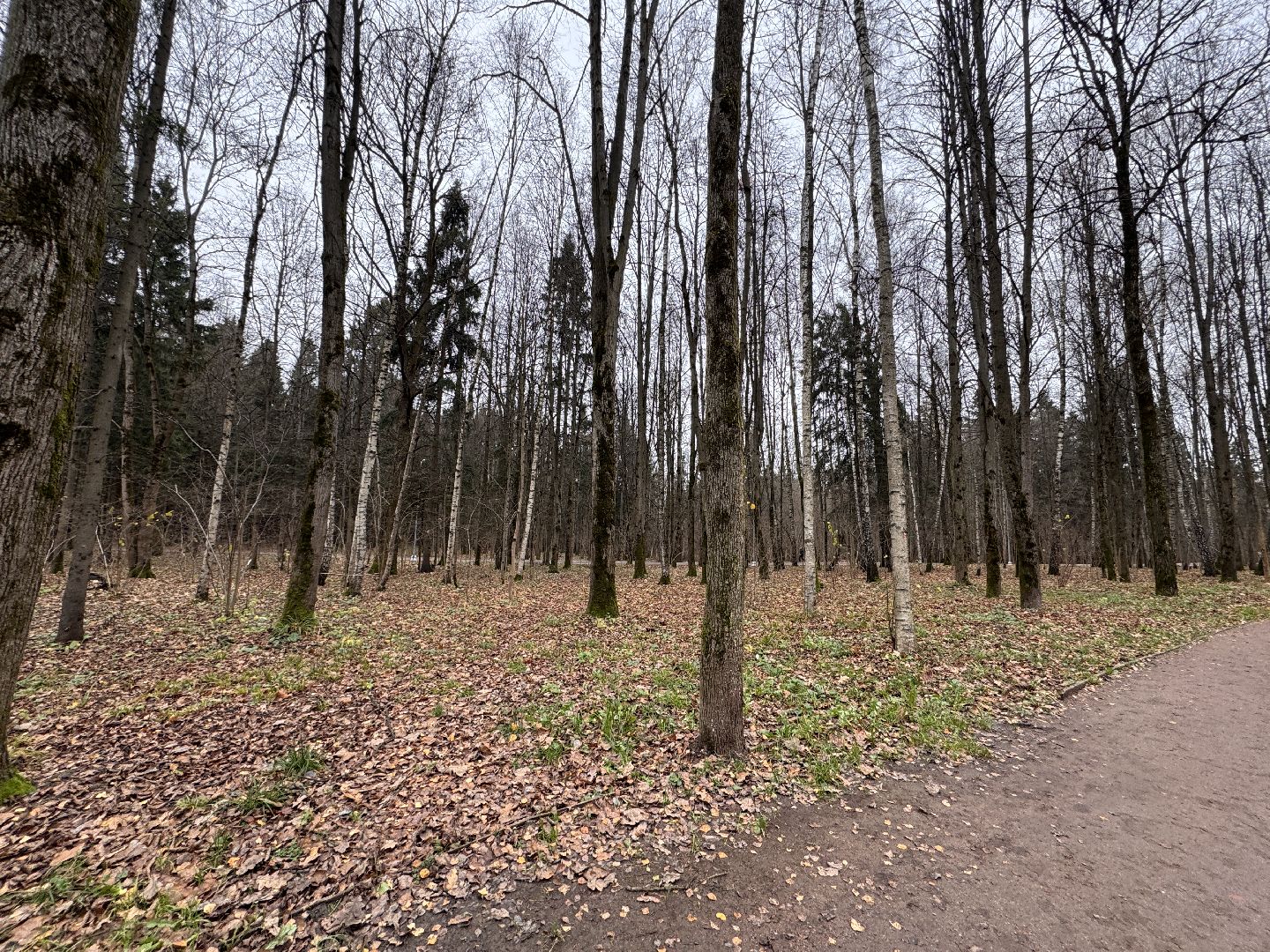 Одинцово, Экологический маршрут, Краеведческое общество,