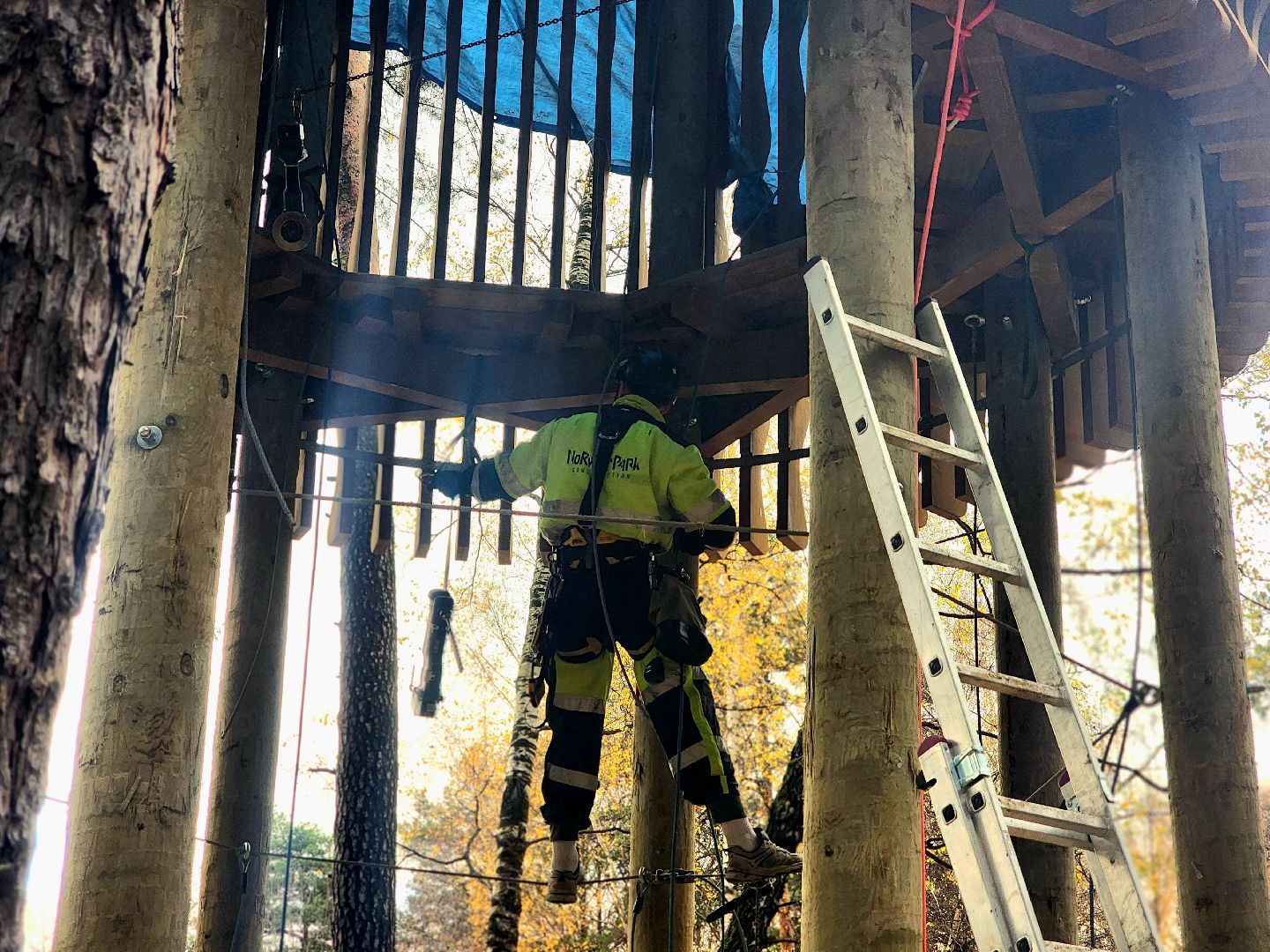 благоустройство, вишняковский парк, реконструкция парка, площадки, озеленение,