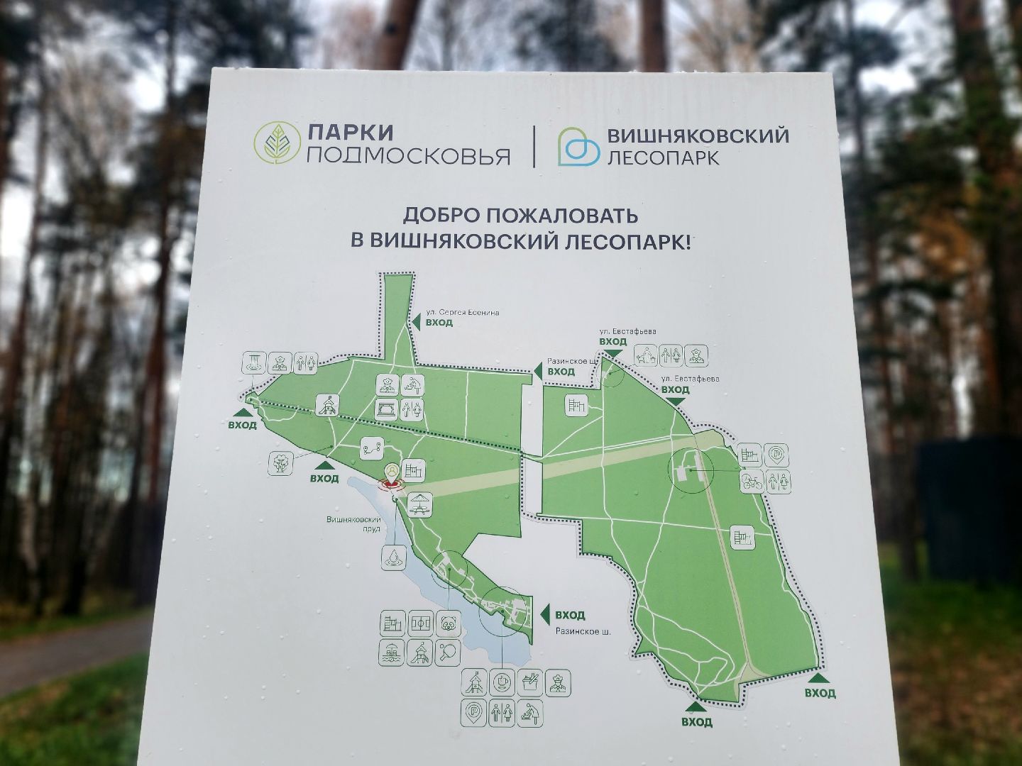 благоустройство, вишняковский парк, реконструкция парка, площадки, озеленение,