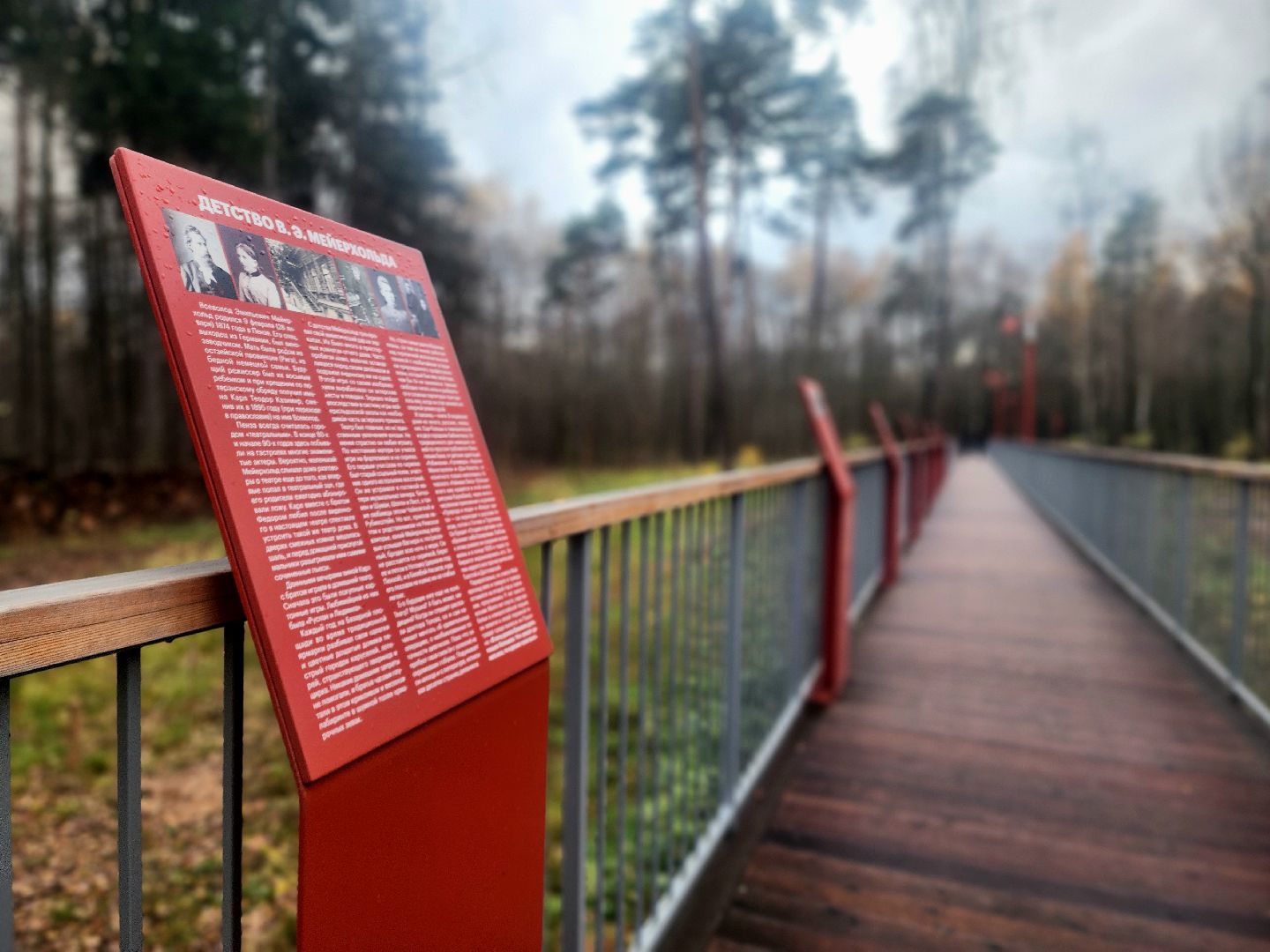 благоустройство, вишняковский парк, реконструкция парка, площадки, озеленение,