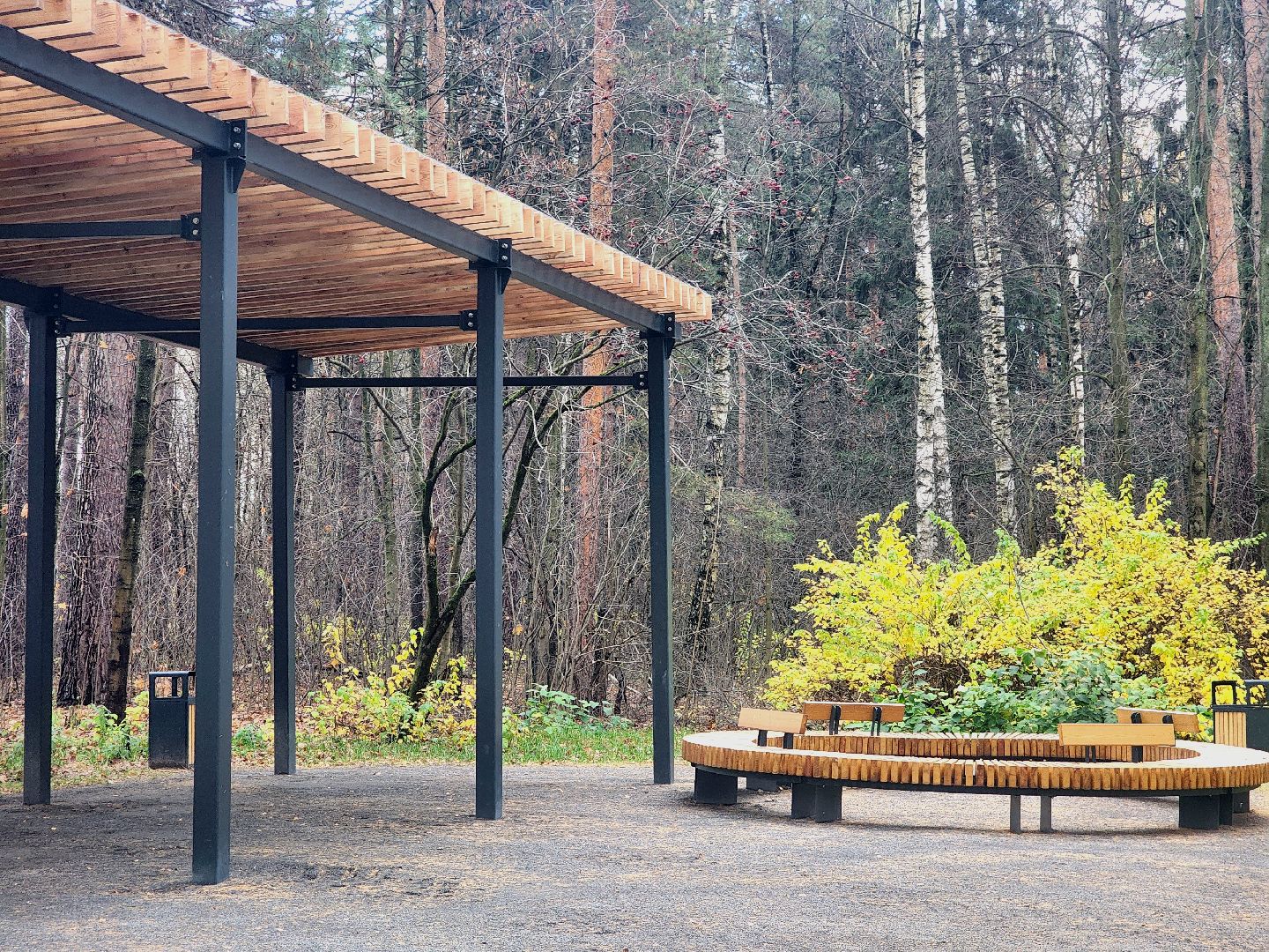 благоустройство, вишняковский парк, реконструкция парка, площадки, озеленение,