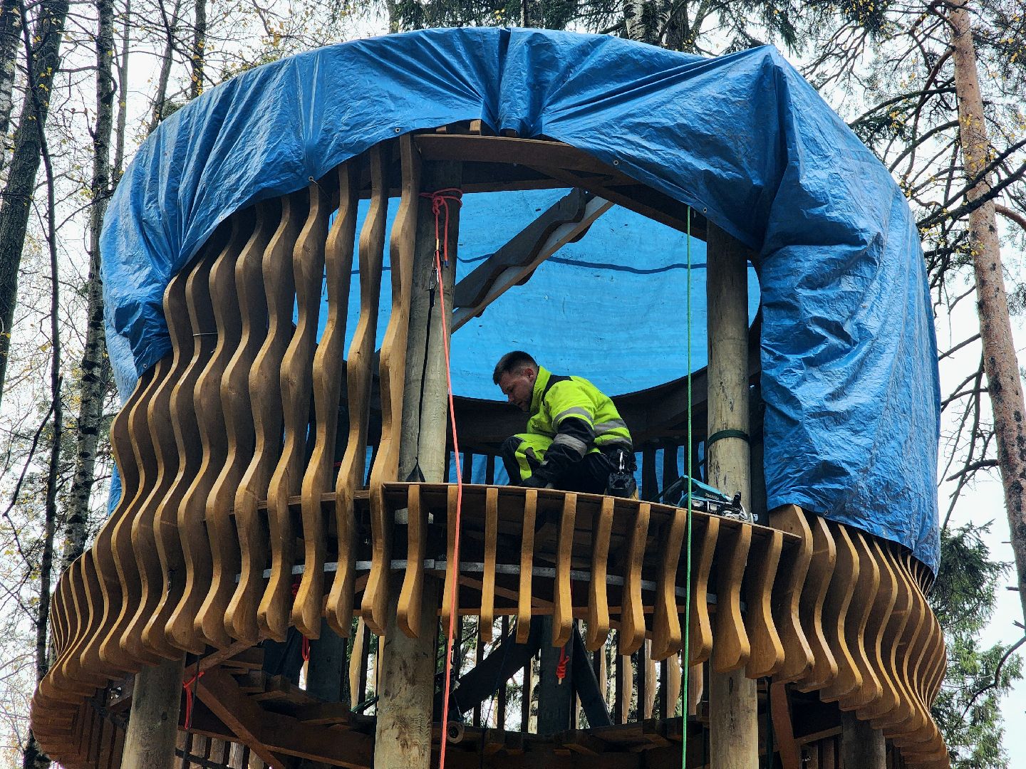 благоустройство, вишняковский парк, реконструкция парка, площадки, озеленение,
