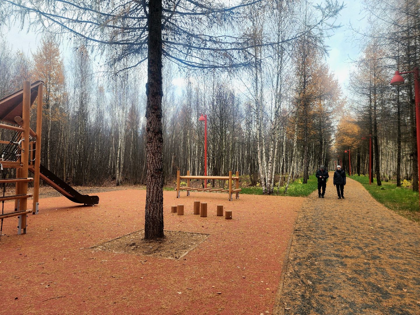 благоустройство, вишняковский парк, реконструкция парка, площадки, озеленение,