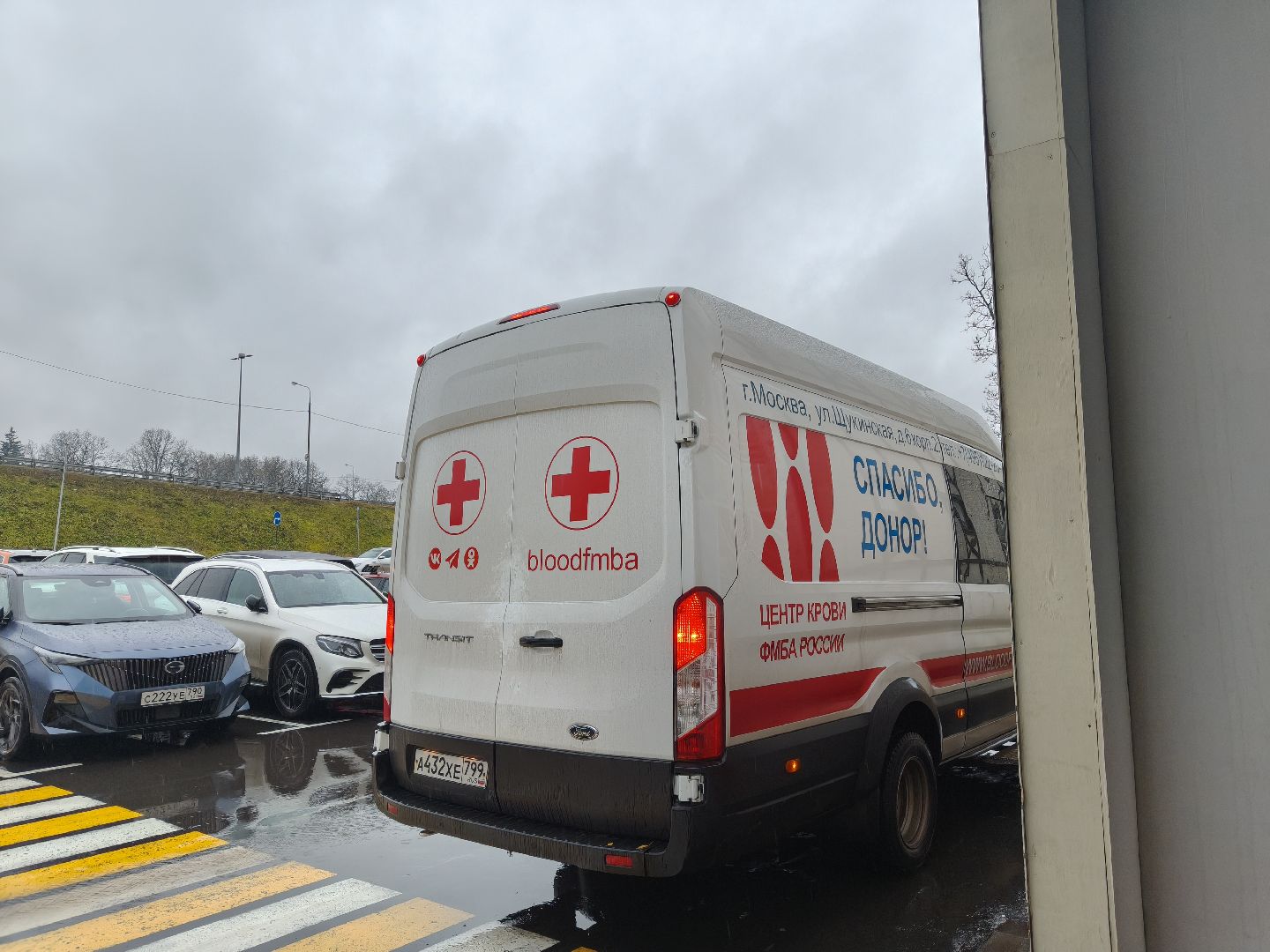 одинцово,  донорство костного мозга, эстафета, парк лазутиной,