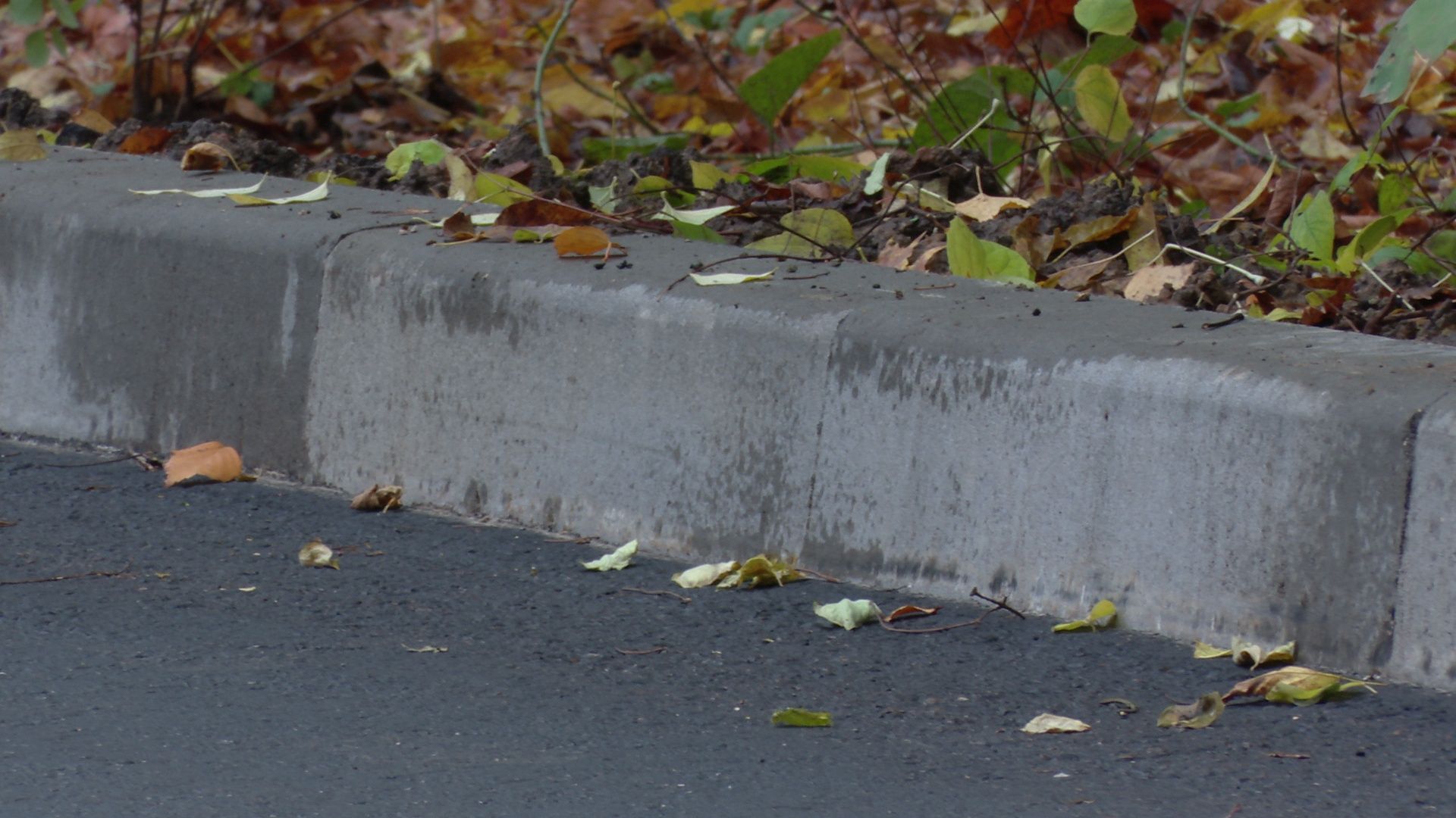 Реутов, благоустройство, асфальт, пешеходные дорожки,комплексное благоустройство дворовых территорий ,