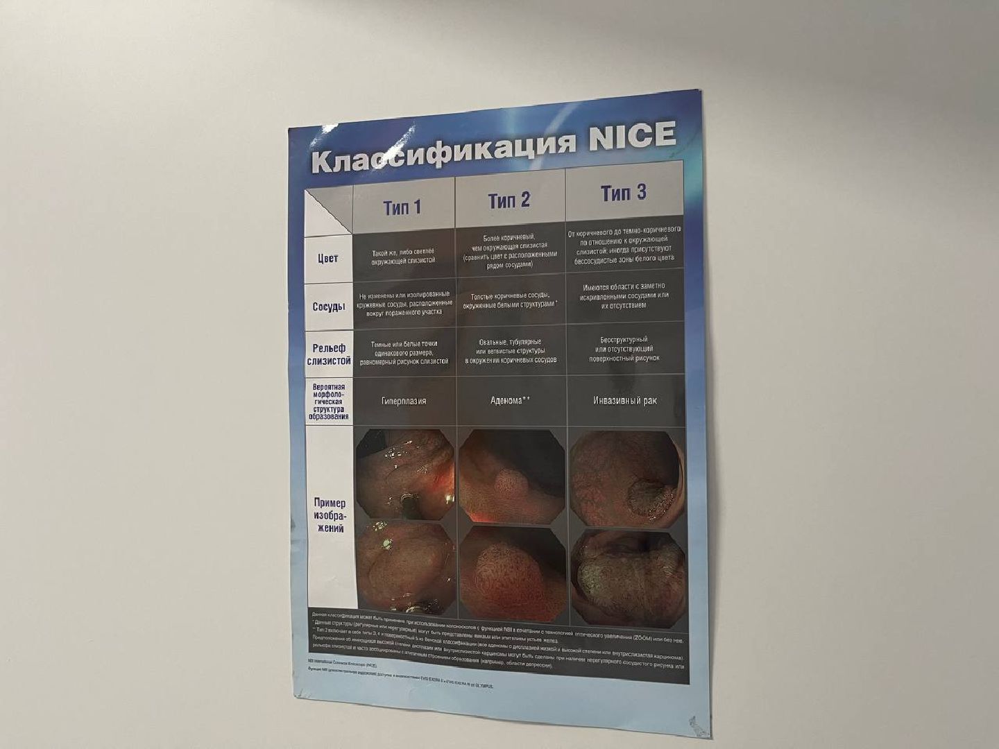 эндоскопия, красногорск, рошаль,