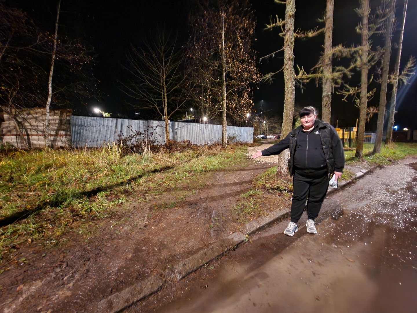 чехов, деревня алексеевка, военный городок чехов-7, выездная администрация, встреча с жителями, обращения граждан, благоустройство, ремонт тротуара, ремонт пешеходной дорожки, замена покрытия, содержание двора, покос травы, уборка придомовой территории, детская площадка, ремонт качелей и горки, мбу чеховское благоустройство, начальник управления благоустройства, александр тетерин, жительница деревни, екатерина кузьмина,