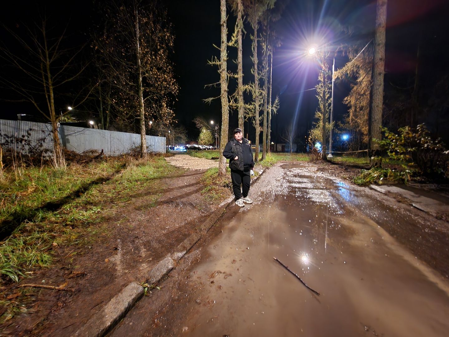 чехов, деревня алексеевка, военный городок чехов-7, выездная администрация, встреча с жителями, обращения граждан, благоустройство, ремонт тротуара, ремонт пешеходной дорожки, замена покрытия, содержание двора, покос травы, уборка придомовой территории, детская площадка, ремонт качелей и горки, мбу чеховское благоустройство, начальник управления благоустройства, александр тетерин, жительница деревни, екатерина кузьмина,