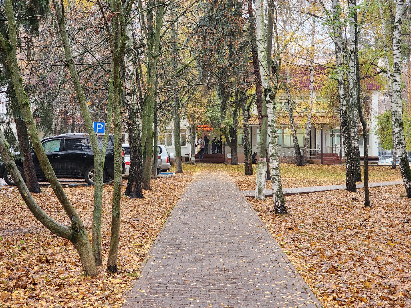 раменское, медицина, прием специалистов ники детства в раменской детской поликлинике,