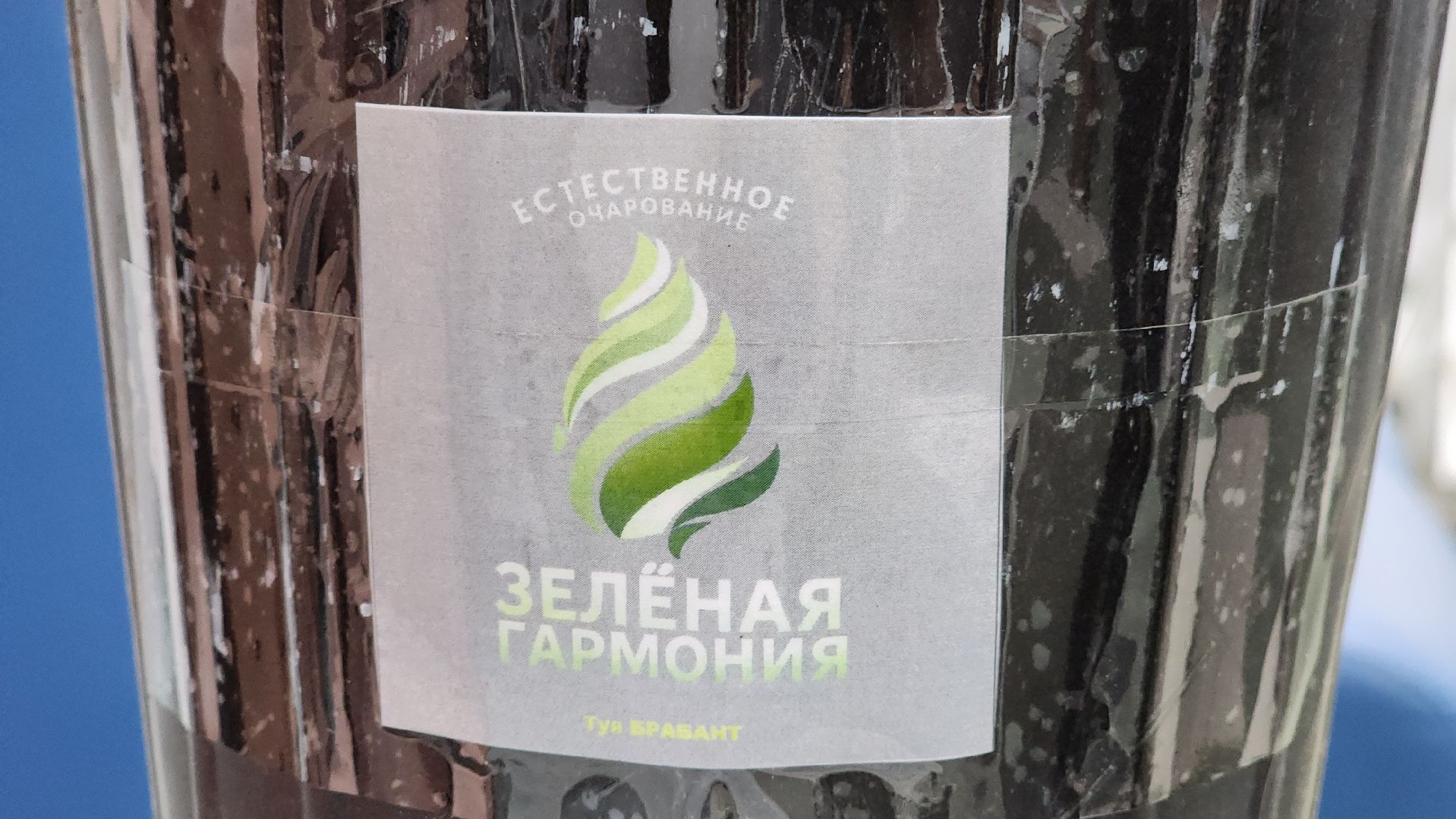 Руза, агростартап, нестеровский лицей, Бизнес-проект,