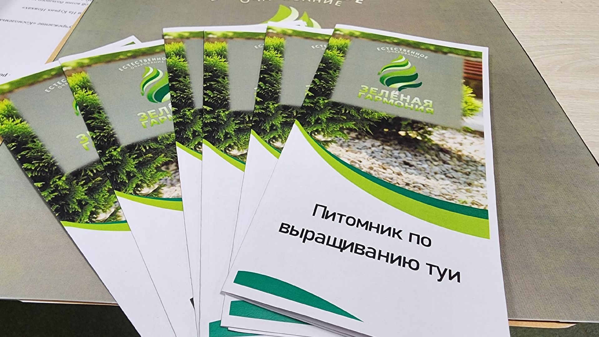 Руза, агростартап, нестеровский лицей, Бизнес-проект,