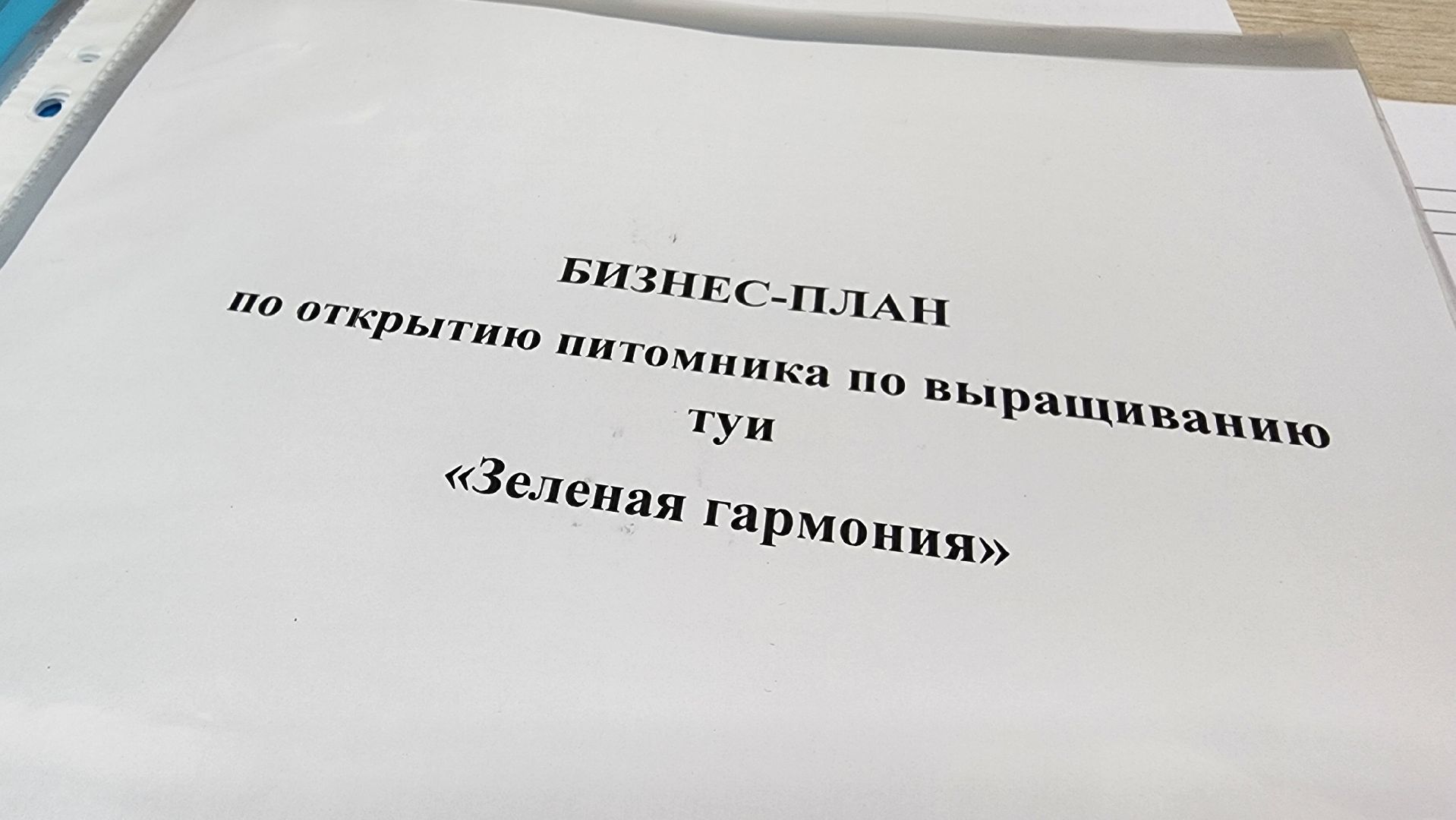 Руза, агростартап, нестеровский лицей, Бизнес-проект,