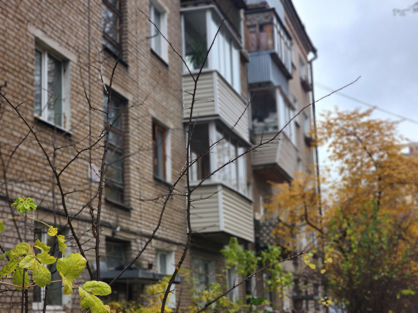 королёв, выездная администрация , встреча жителей с властью ,