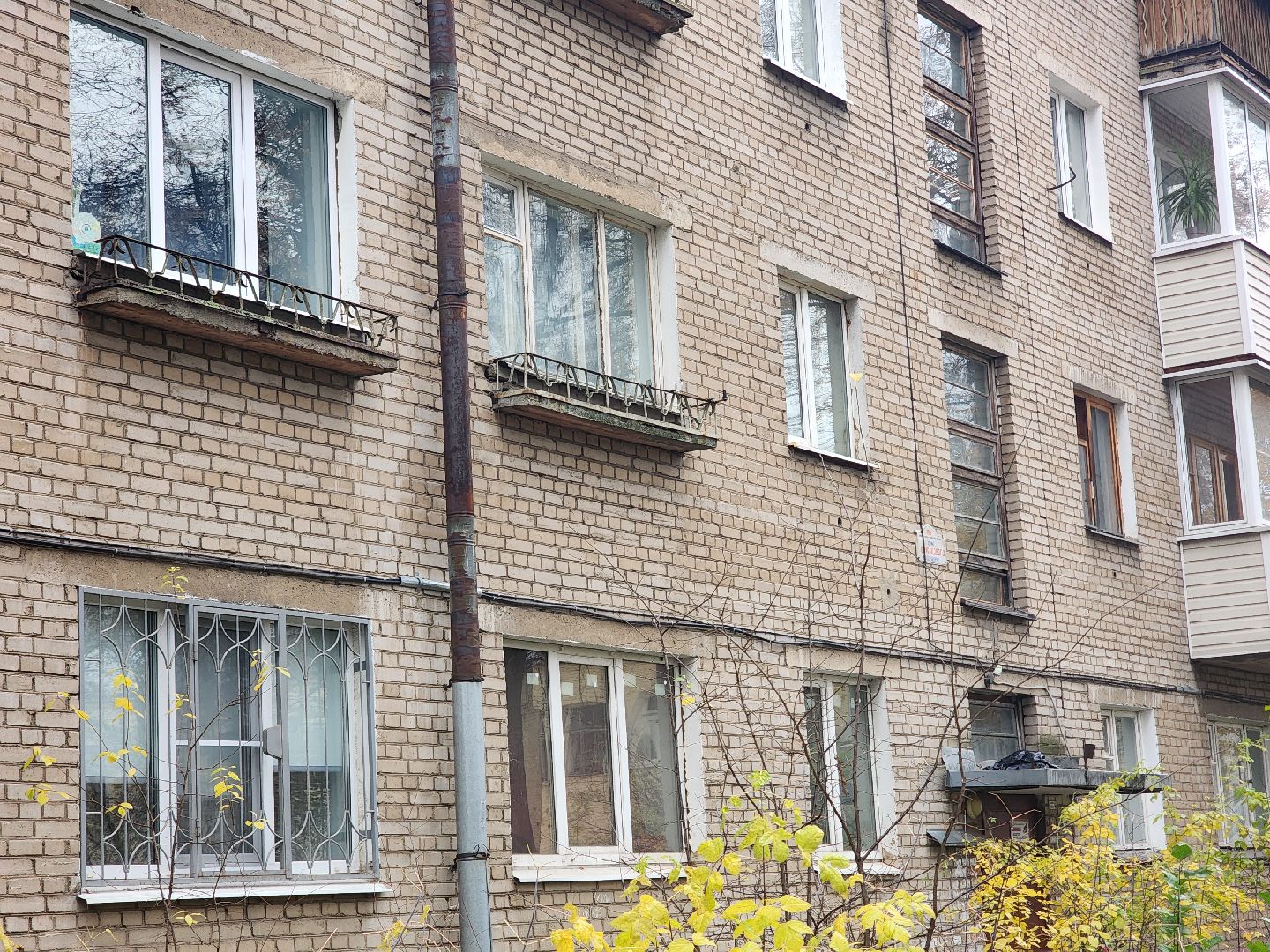 королёв, выездная администрация , встреча жителей с властью ,