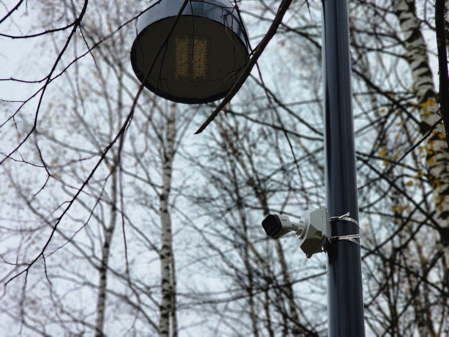 фрязино, видеокамеры системы безопасный регион, видеонаблюдение, лесопарк,