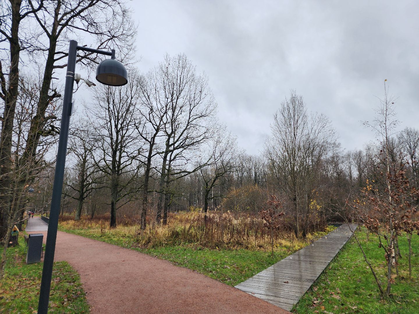 фрязино, видеокамеры системы безопасный регион, видеонаблюдение, лесопарк,