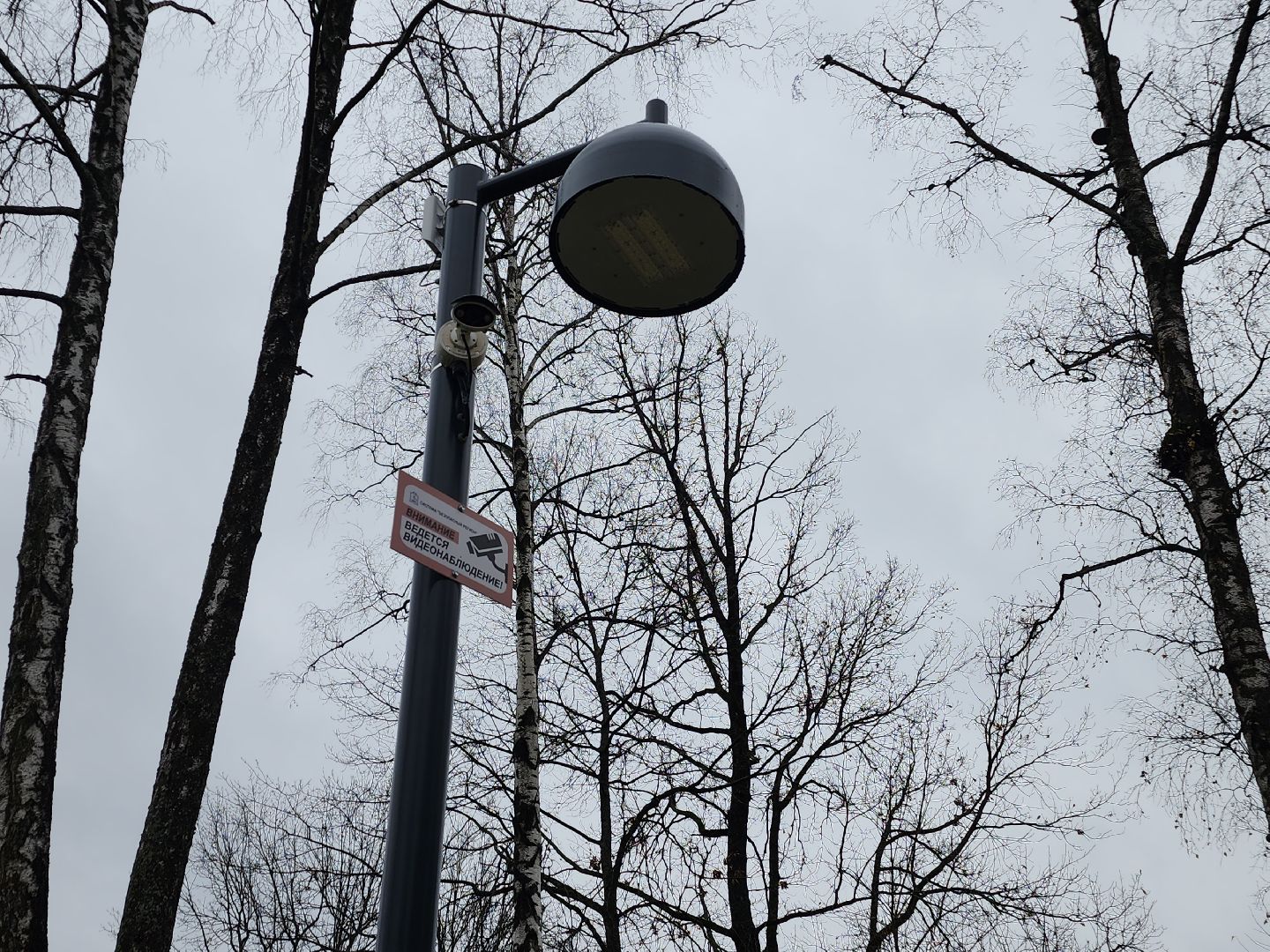 фрязино, видеокамеры системы безопасный регион, видеонаблюдение, лесопарк,