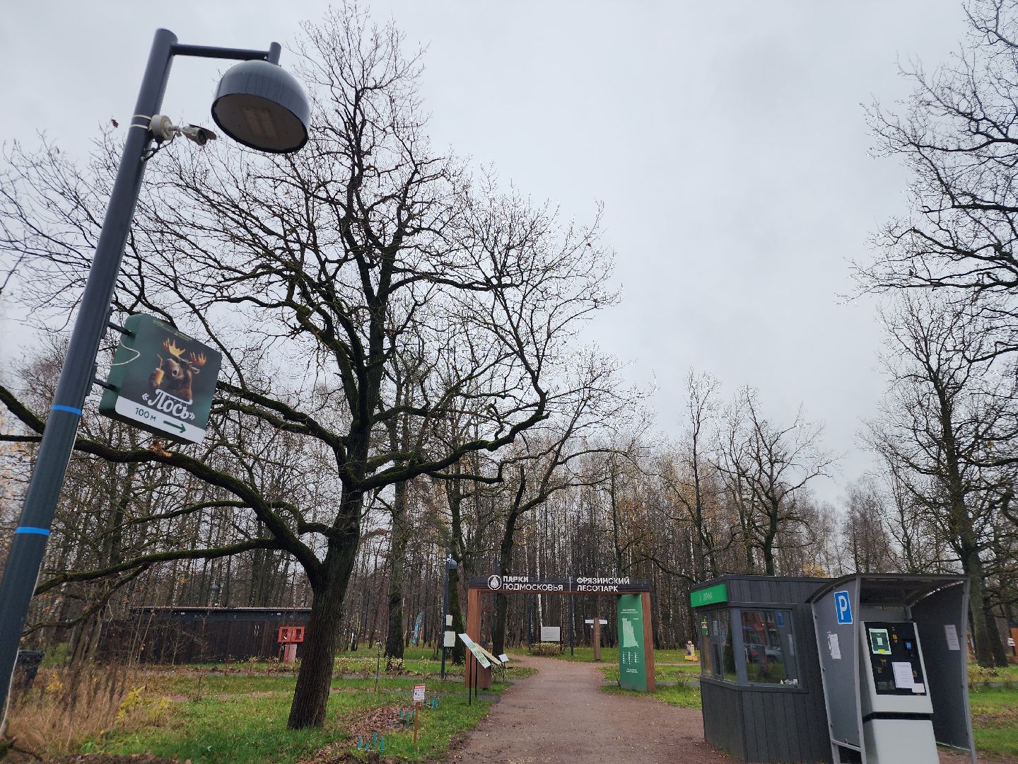 фрязино, видеокамеры системы безопасный регион, видеонаблюдение, лесопарк,