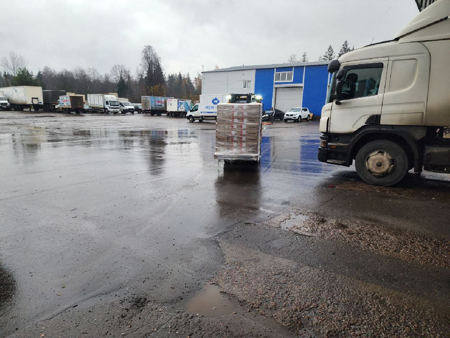 солнечногорск, сво гомунитарка, спецоперация,