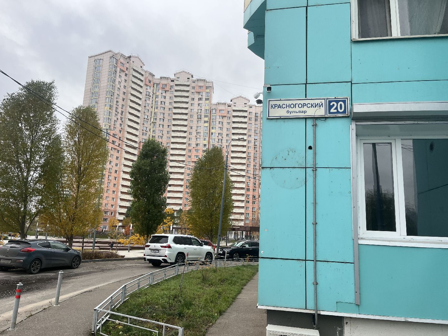 красногорск, экологическая акция,