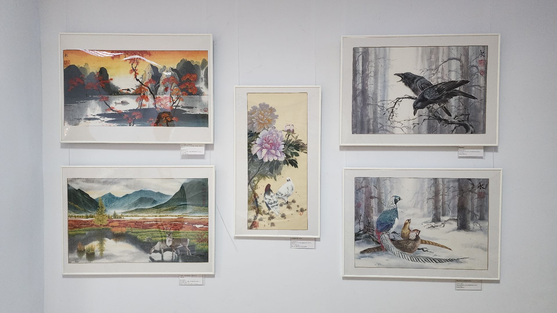 волоколамск, выставка картин, библиотека,