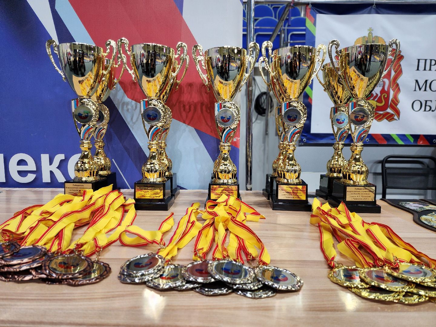 раменское, спорт, турнир по борьбе памяти майора михаила кузнецова в раменском,российский актер александр левин стал гостем турнира по трем видам борьбы в раменском,