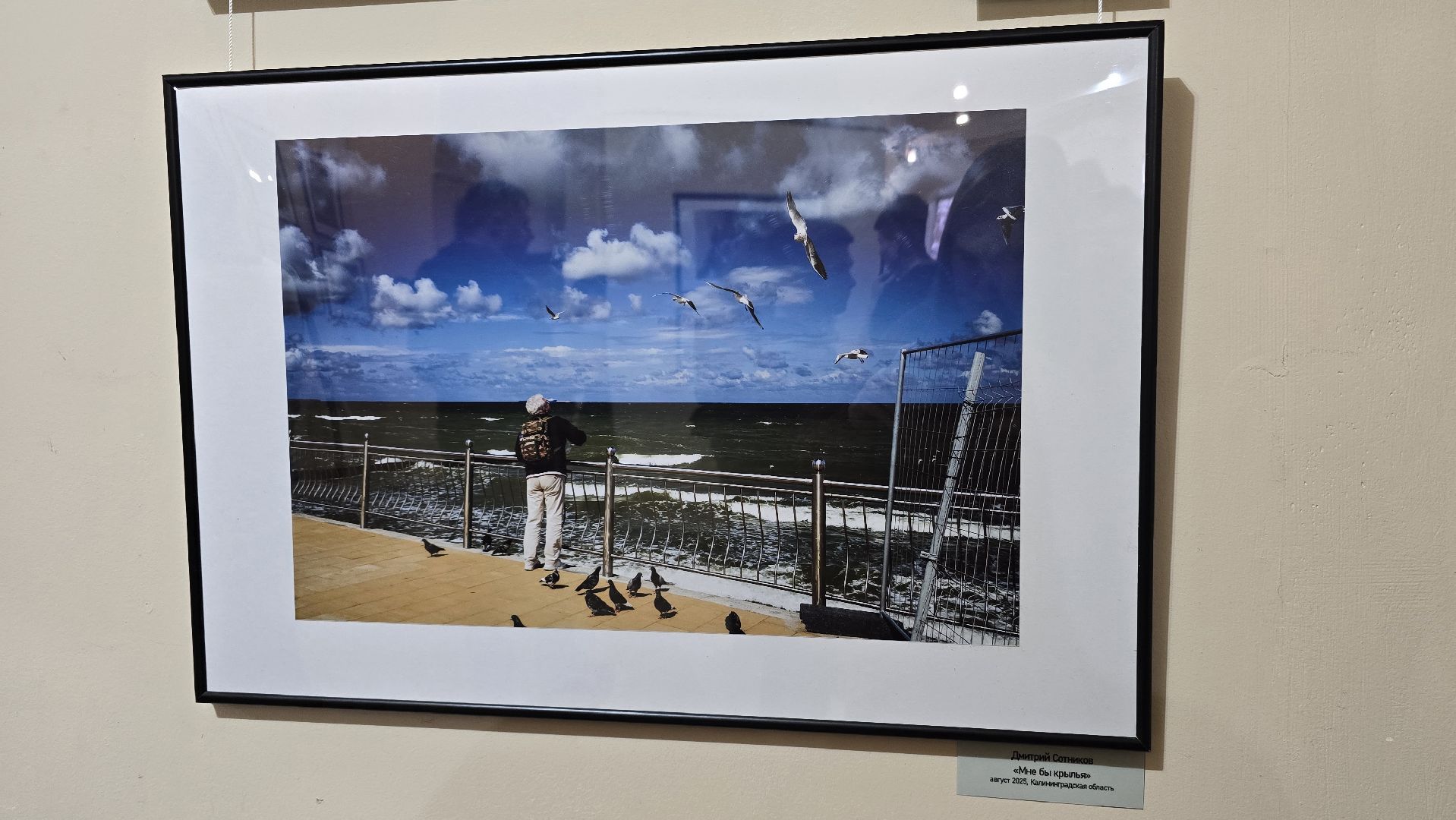 Коломна, выставка фотографий,