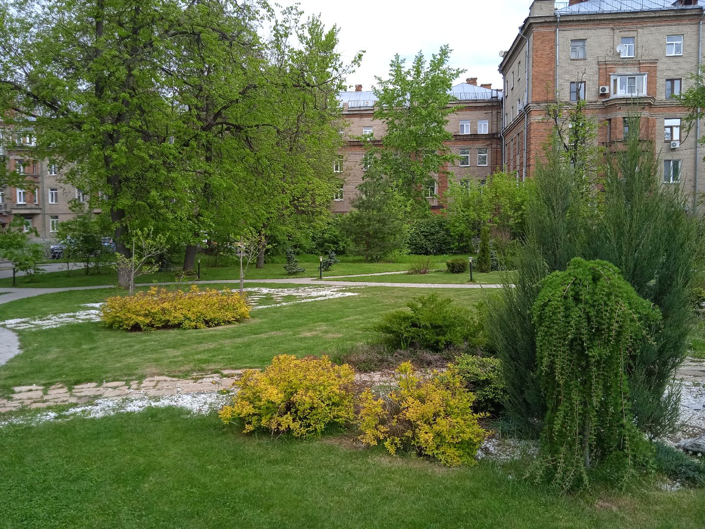 Дружба, отель, ландшафтный, дизайн, территория