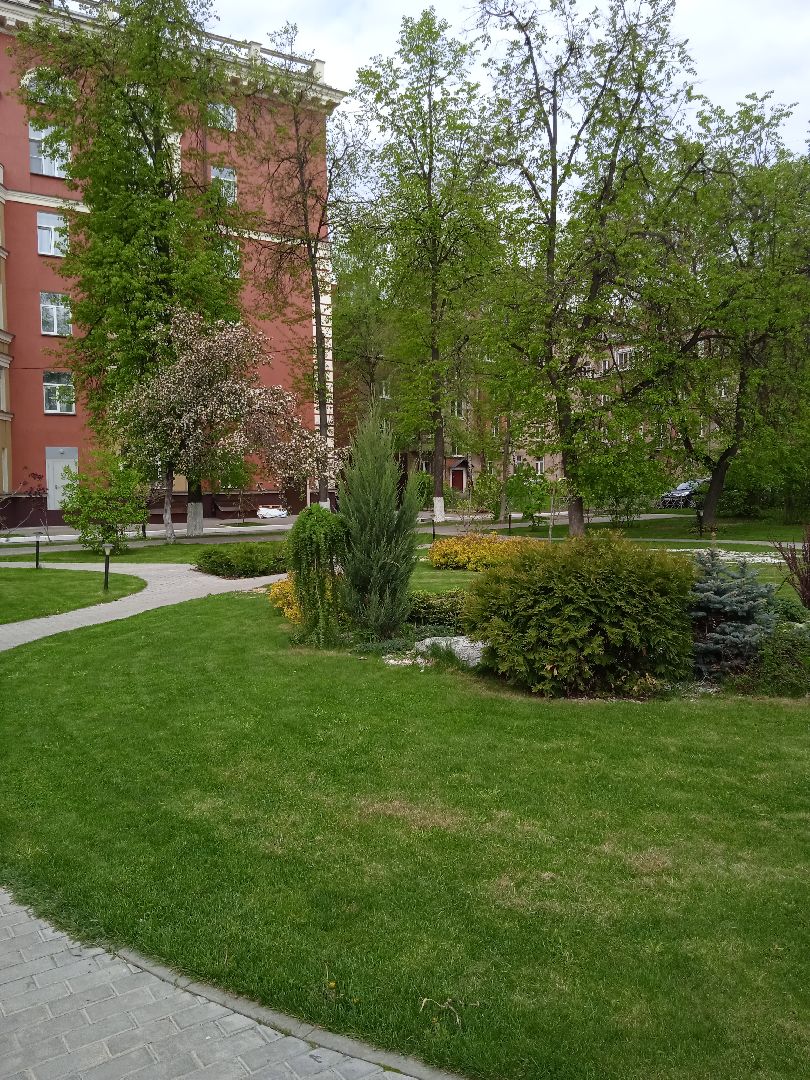 Дружба, отель, ландшафтный, дизайн, территория