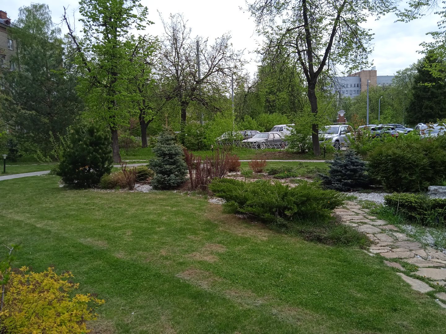 Дружба, отель, ландшафтный, дизайн, территория