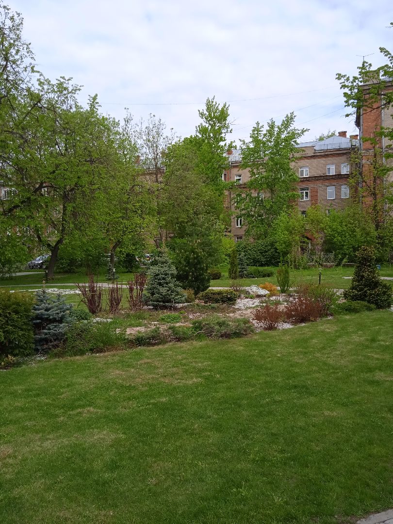 Дружба, отель, ландшафтный, дизайн, территория