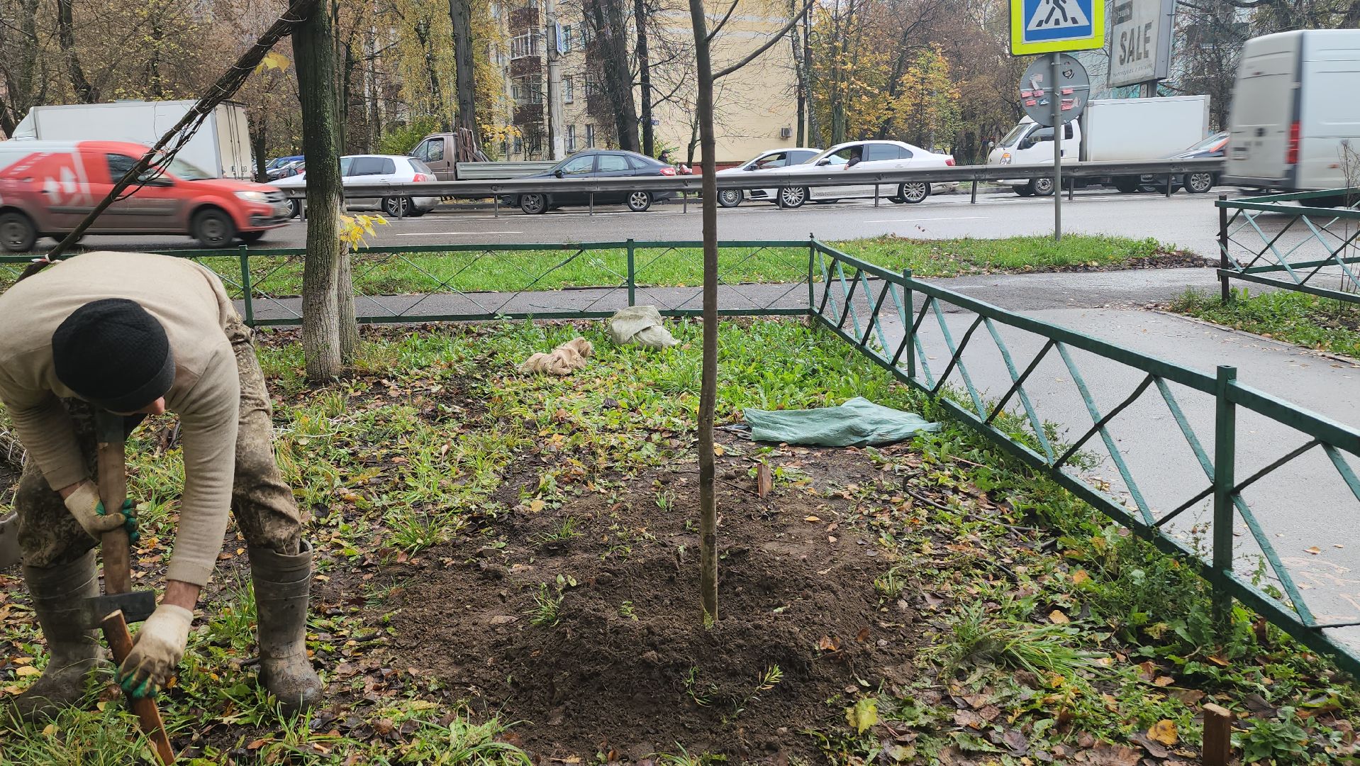 Люберцы, посадка деревьев, посадка кустарников,