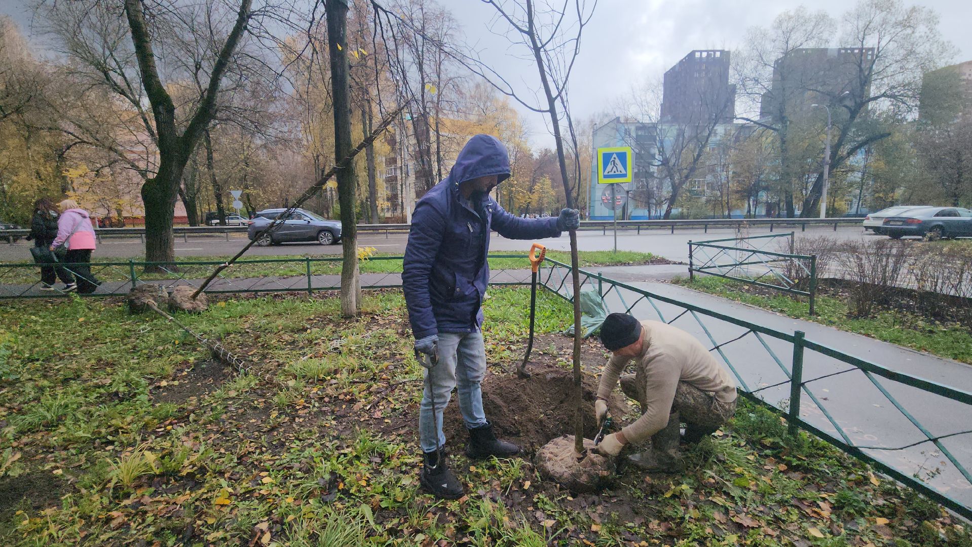 Люберцы, посадка деревьев, посадка кустарников,