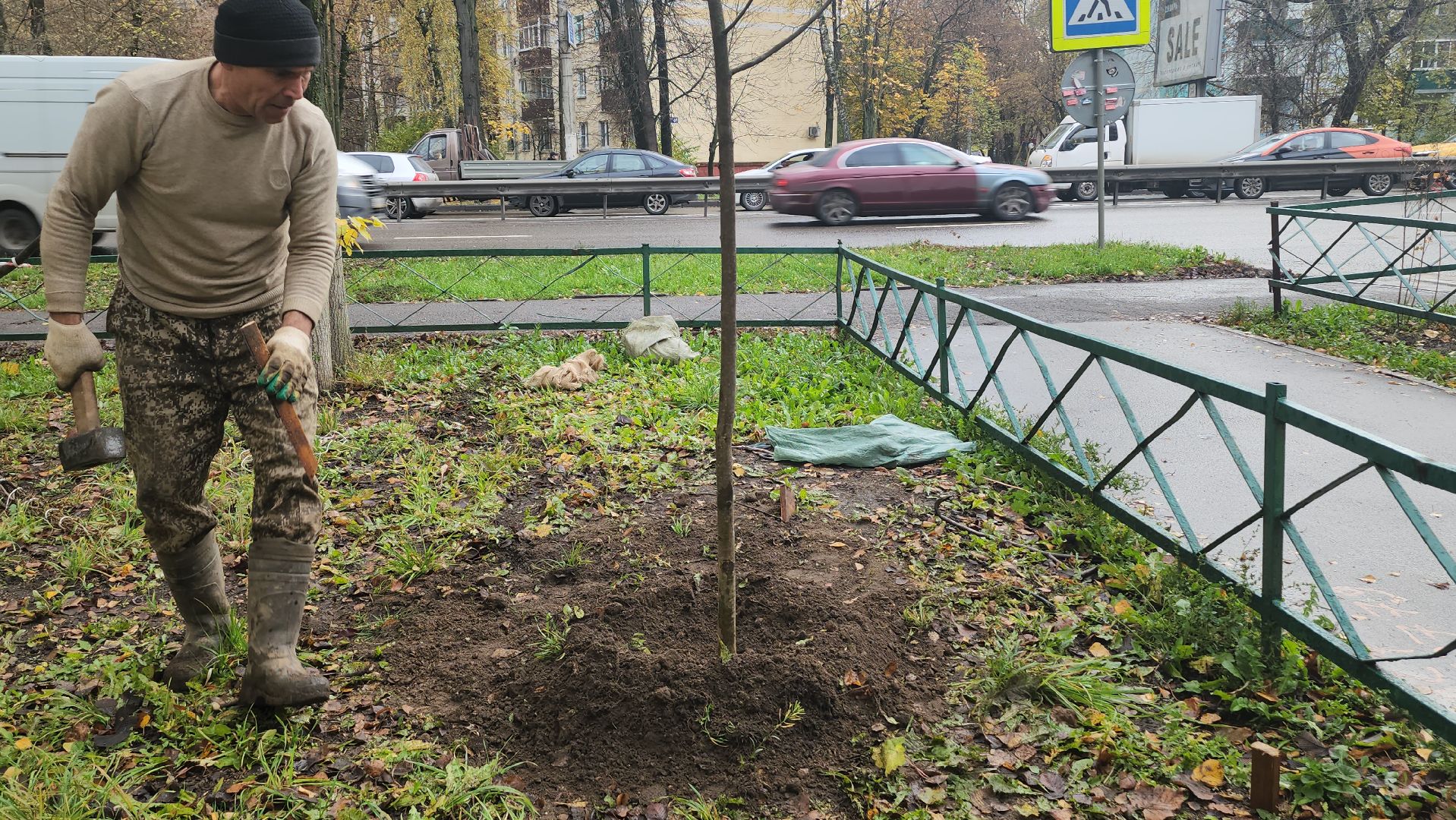 Люберцы, посадка деревьев, посадка кустарников,