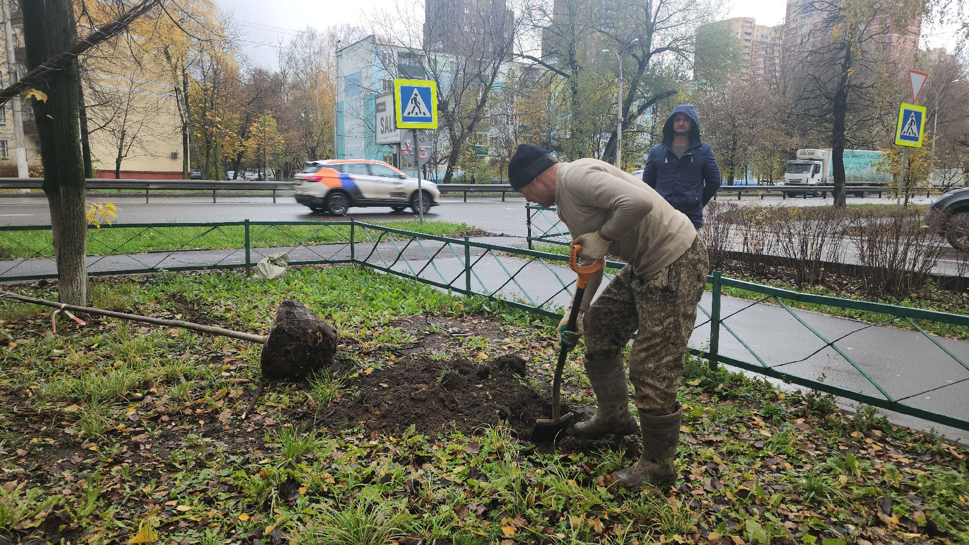 Люберцы, посадка деревьев, посадка кустарников,