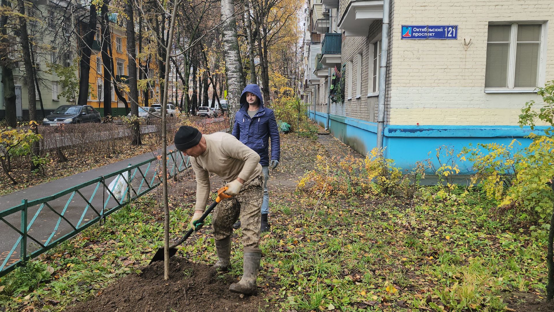 Люберцы, посадка деревьев, посадка кустарников,