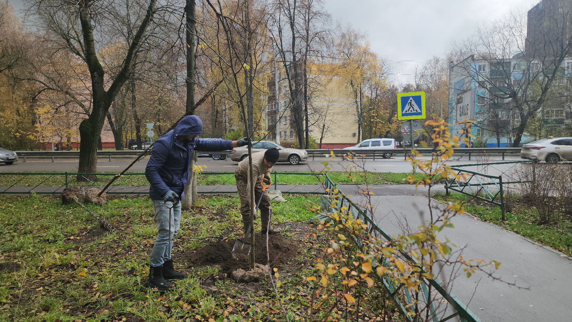 Люберцы, посадка деревьев, посадка кустарников,