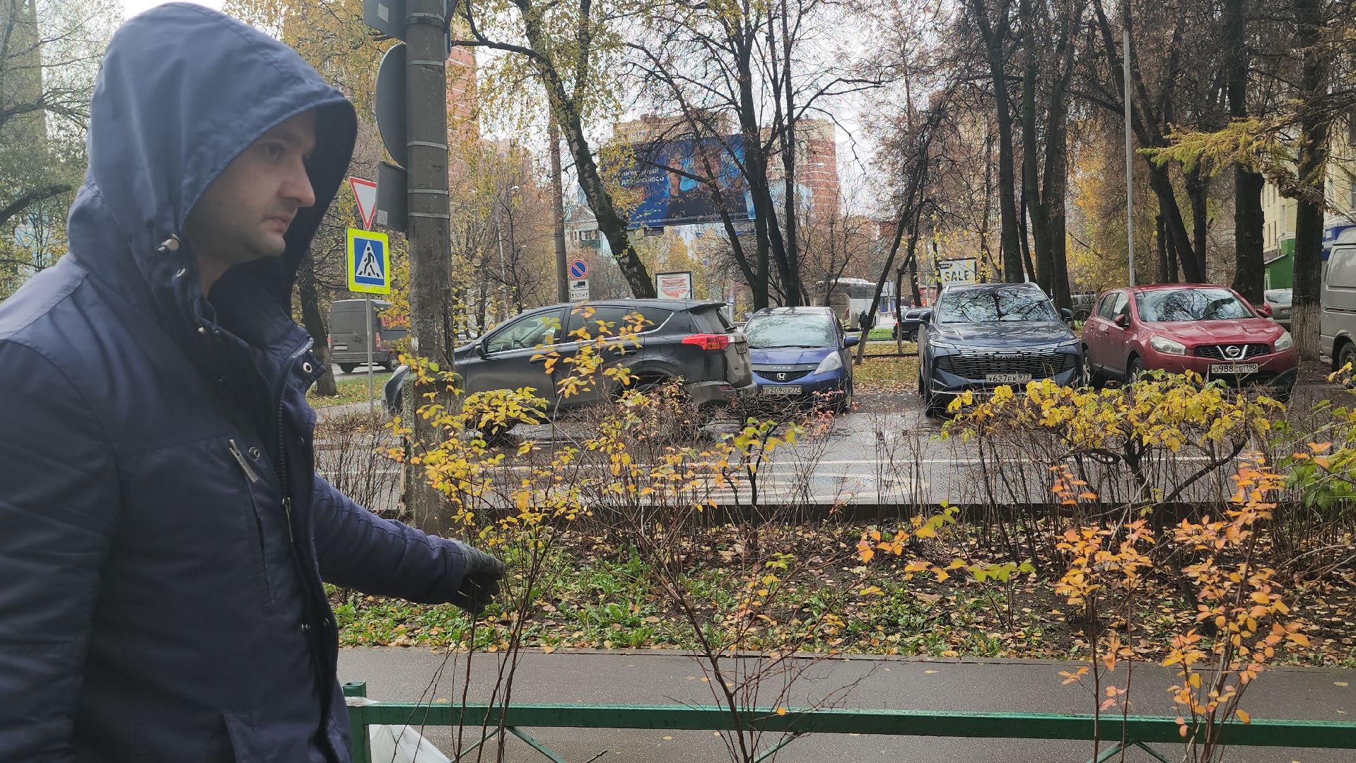 Люберцы, посадка деревьев, посадка кустарников,