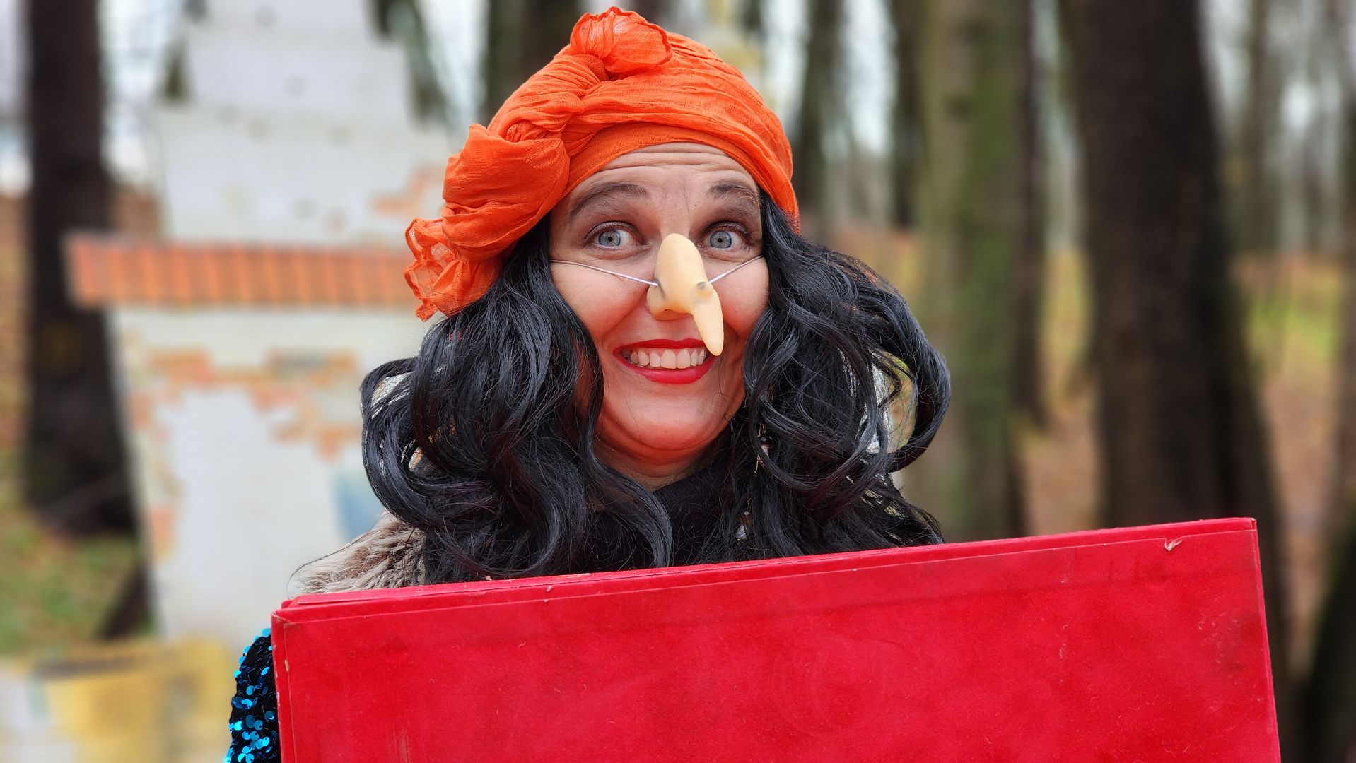 руза, парк городок, день рождения деда мороза,культура,