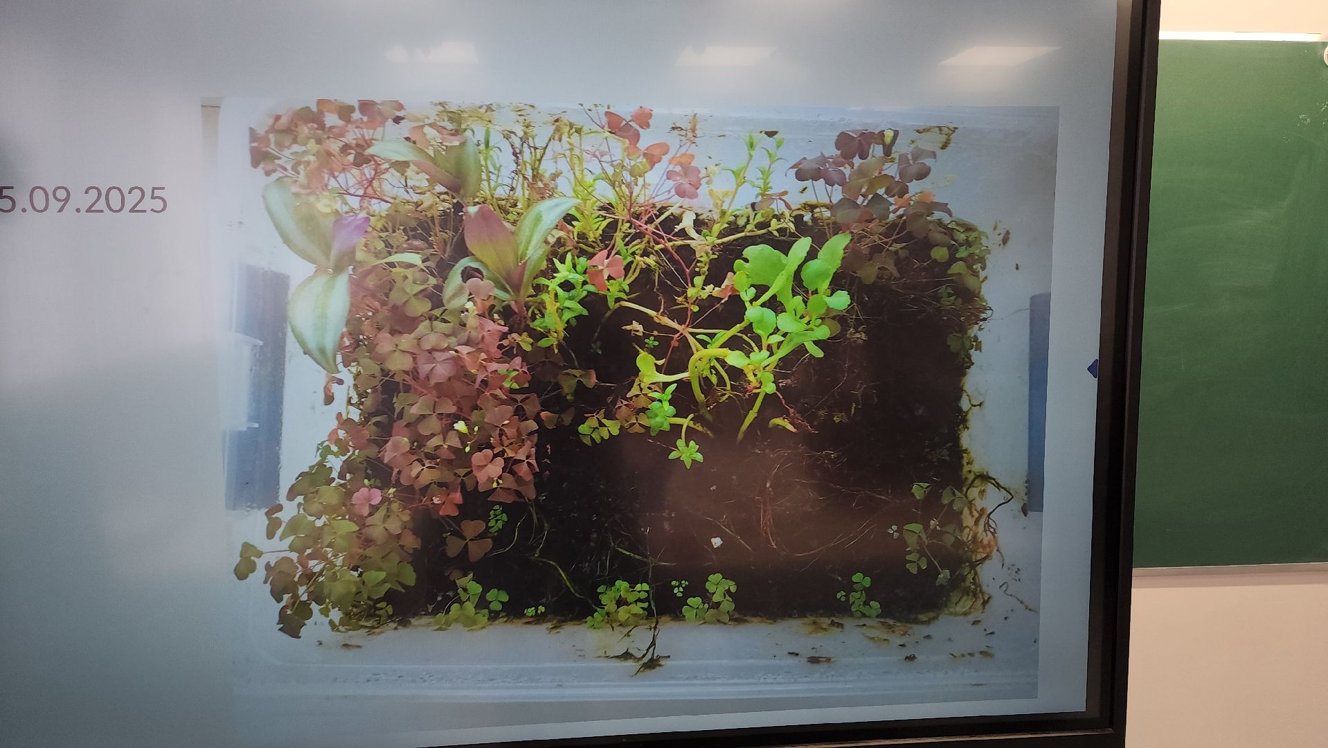 луховицы, луховицкая школа 2, образование, космическая олимпиада,