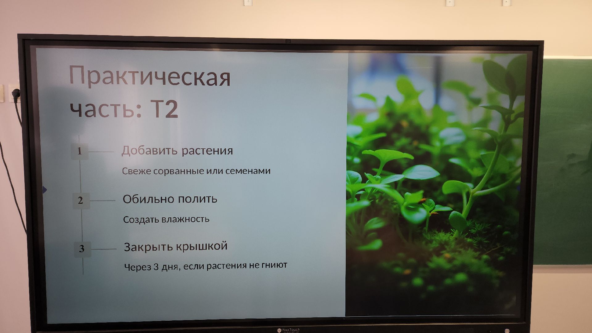 луховицы, луховицкая школа 2, образование, космическая олимпиада,