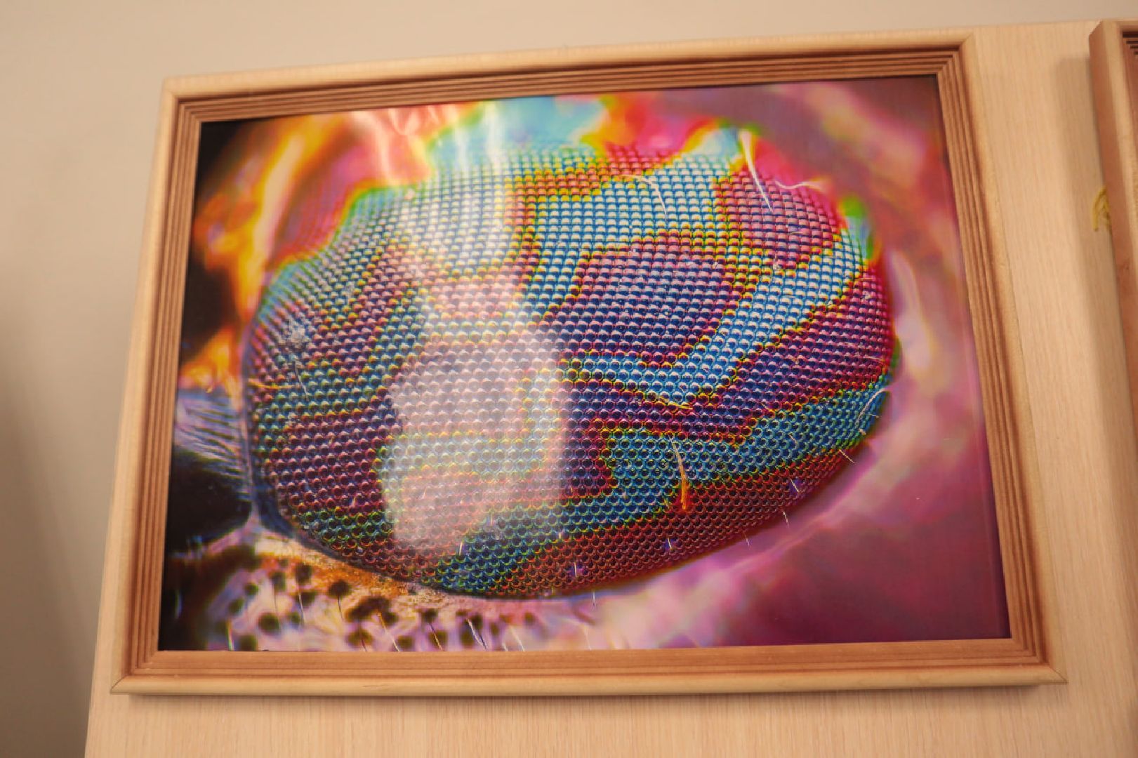 Пущино, образование